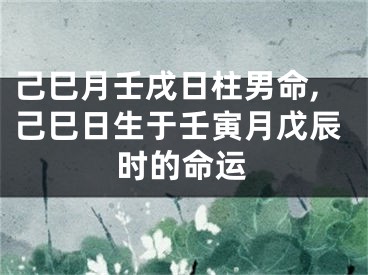 己巳月壬戌日柱男命,己巳日生于壬寅月戊辰时的命运