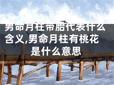 男命月柱带胎代表什么含义,男命月柱有桃花是什么意思