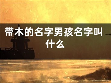 带木的名字男孩名字叫什么