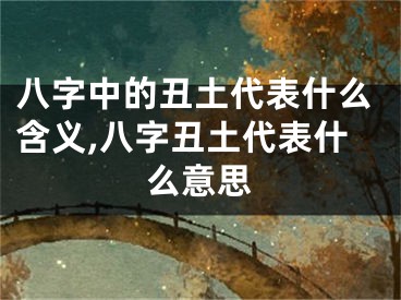 八字中的丑土代表什么含义,八字丑土代表什么意思