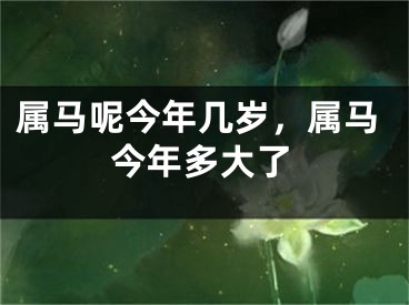 属马呢今年几岁，属马今年多大了