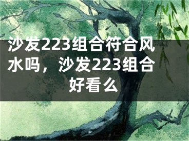 沙发223组合符合风水吗，沙发223组合好看么