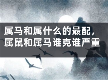 属马和属什么的最配，属鼠和属马谁克谁严重