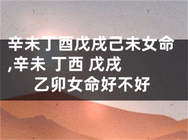 辛未丁酉戊戌己未女命,辛未 丁西 戊戌 乙卯女命好不好