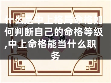 什么是中上格局命格如何判断自己的命格等级,中上命格能当什么职务