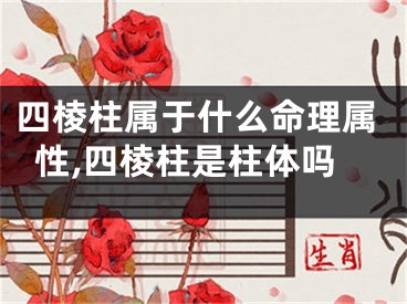 四棱柱属于什么命理属性,四棱柱是柱体吗