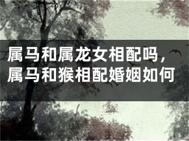 属马和属龙女相配吗，属马和猴相配婚姻如何
