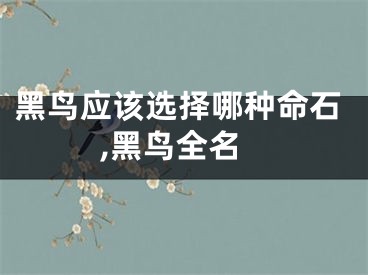 黑鸟应该选择哪种命石,黑鸟全名