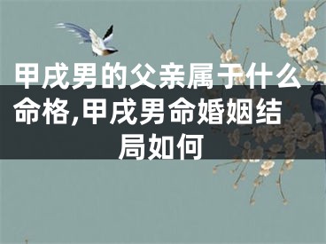 甲戌男的父亲属于什么命格,甲戌男命婚姻结局如何