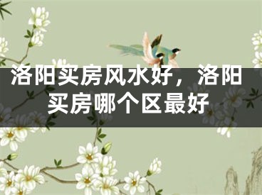 洛阳买房风水好，洛阳买房哪个区最好