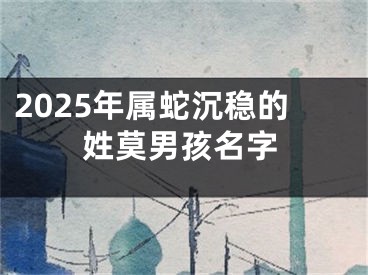 2025年属蛇沉稳的姓莫男孩名字
