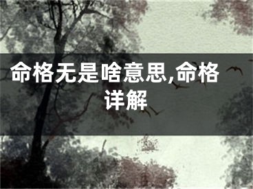 命格无是啥意思,命格详解