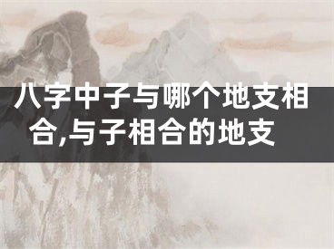 八字中子与哪个地支相合,与子相合的地支