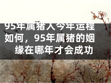95年属猪人今年运程如何，95年属猪的姻缘在哪年才会成功