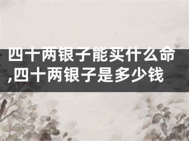 四十两银子能买什么命,四十两银子是多少钱