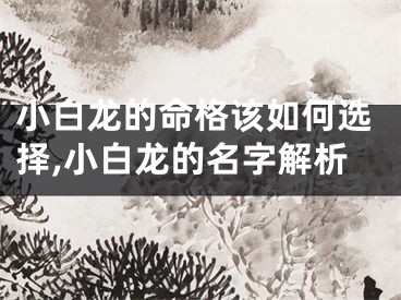 小白龙的命格该如何选择,小白龙的名字解析