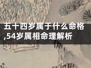 五十四岁属于什么命格,54岁属相命理解析