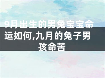 9月出生的男兔宝宝命运如何,九月的兔子男孩命苦