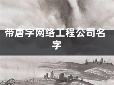 带唐字网络工程公司名字