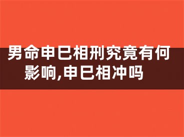 男命申巳相刑究竟有何影响,申巳相冲吗