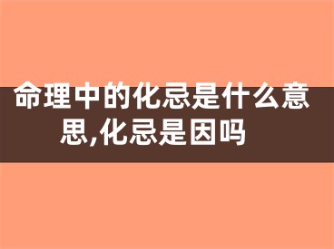 命理中的化忌是什么意思,化忌是因吗