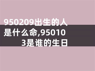 950209出生的人是什么命,950103是谁的生日