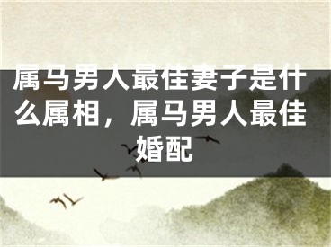 属马男人最佳妻子是什么属相，属马男人最佳婚配