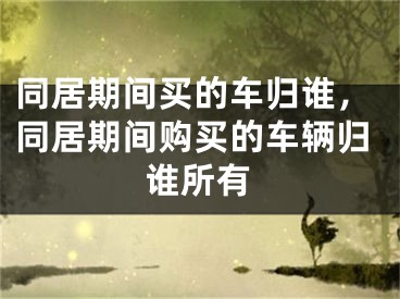 同居期间买的车归谁，同居期间购买的车辆归谁所有