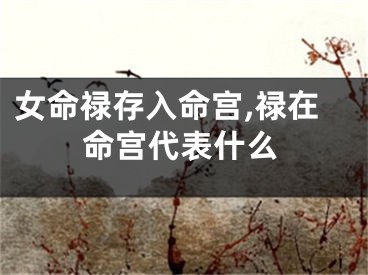女命禄存入命宫,禄在命宫代表什么