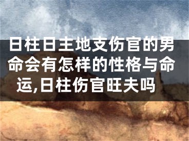 日柱日主地支伤官的男命会有怎样的性格与命运,日柱伤官旺夫吗