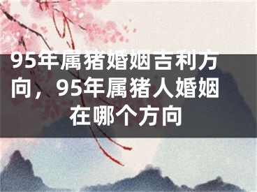 95年属猪婚姻吉利方向，95年属猪人婚姻在哪个方向