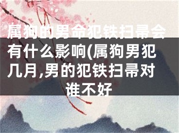 属狗的男命犯铁扫帚会有什么影响(属狗男犯几月,男的犯铁扫帚对谁不好