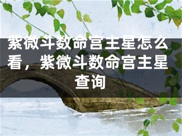 紫微斗数命宫主星怎么看,紫微斗数命宫主星查询