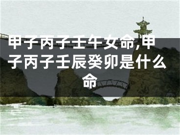 甲子丙子壬午女命,甲子丙子壬辰癸卯是什么命