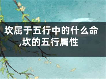 坎属于五行中的什么命,坎的五行属性