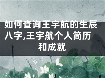如何查询王宇航的生辰八字,王宇航个人简历和成就
