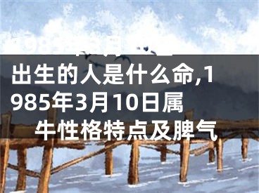 1985年3月10日出生的人是什么命,1985年3月10日属牛性格特点及脾气
