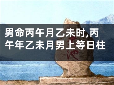 男命丙午月乙未时,丙午年乙未月男上等日柱