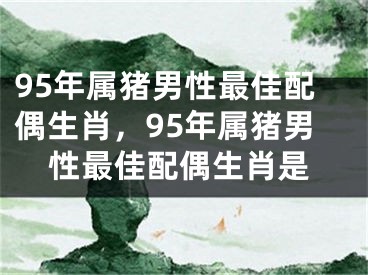 95年属猪男性最佳配偶生肖，95年属猪男性最佳配偶生肖是