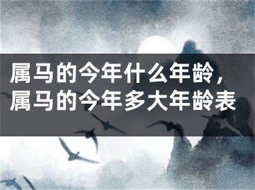 属马的今年什么年龄，属马的今年多大年龄表