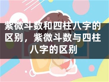 紫微斗数和四柱八字的区别，紫微斗数与四柱八字的区别