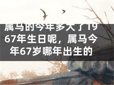 属马的今年多大了1967年生日呢,属马今年67岁哪年出生的