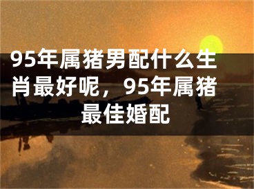 95年属猪男配什么生肖最好呢，95年属猪最佳婚配