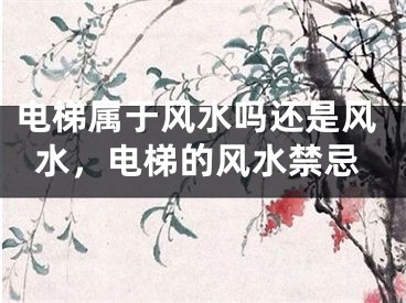 电梯属于风水吗还是风水，电梯的风水禁忌