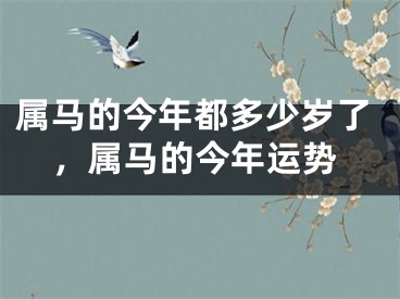 属马的今年都多少岁了，属马的今年运势