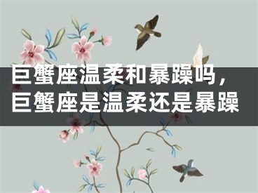巨蟹座温柔和暴躁吗，巨蟹座是温柔还是暴躁