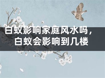 白蚁影响家庭风水吗，白蚁会影响到几楼