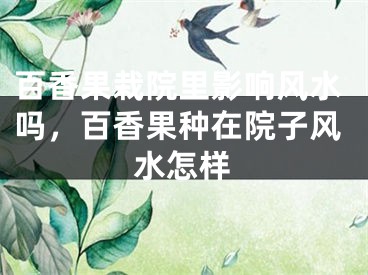 百香果栽院里影响风水吗,百香果种在院子风水怎样