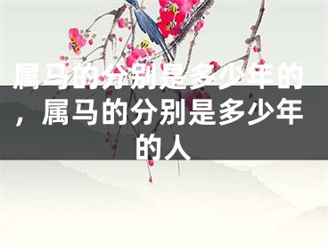属马的分别是多少年的，属马的分别是多少年的人