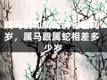 属马的和属蛇的相差几岁，属马跟属蛇相差多少岁